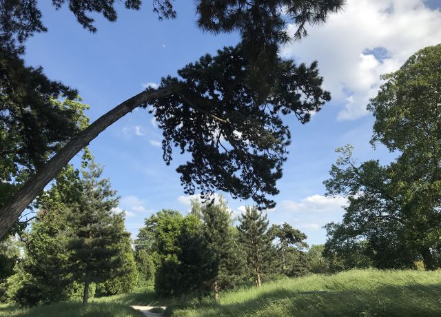 Photo de la couverture du Airparif en bref 2021 représentant un parc arboré